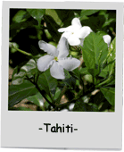 Tahiti